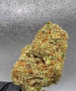 Apple gelato strain