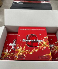 Backpack boyz 2g disposable