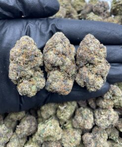 Black cherry runtz weed strain