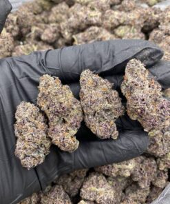 Black Runtz Strain