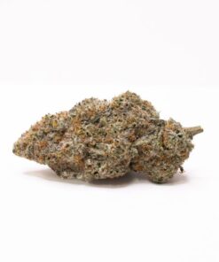 black widow strain