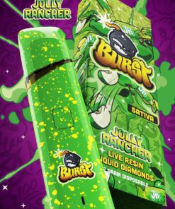 Burst Disposable - Cali Exotics Store