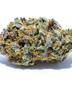 Buy Grand Daddy Purple