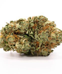 Buy Hindu Kush For Sale Online US-IA