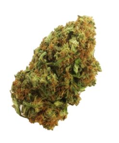Buy Mango Haze Online