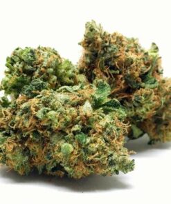 Buy Orange Kush For Sale Online US-DE
