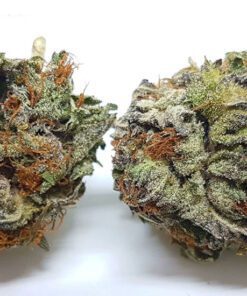 Buy Purple Haze Online