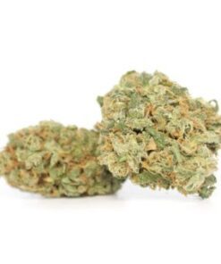 Buy Sour Jack Marijuana Strain