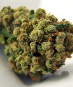 Buy Super Silver Haze x Sour Diesel Marijuana Strain US-CO