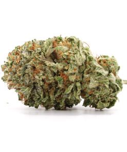 Ghost Train Haze