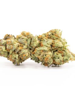 Kosher Kush