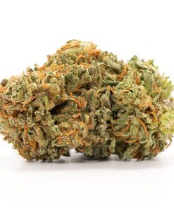 Master Kush