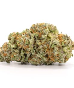 Northern Lights