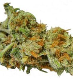 Pineapple Kush