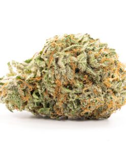 Purple Kush