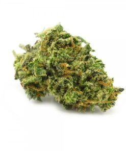Super Lemon Haze For Sale In US-AZ