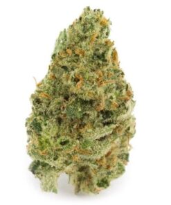 Super Silver Haze
