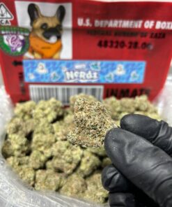 White Nerdz Strain