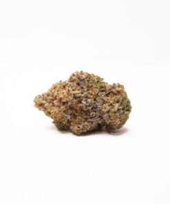 white truffle strain
